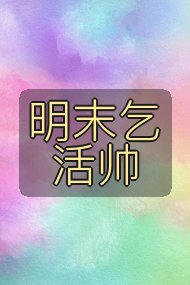 明末乞活帅封面