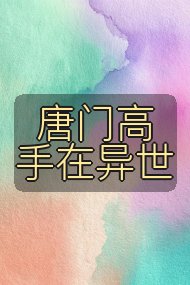 唐门高手在异世封面