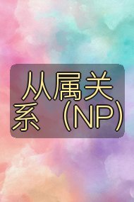 从属关系（NP）封面