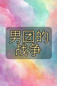 男团的战争封面