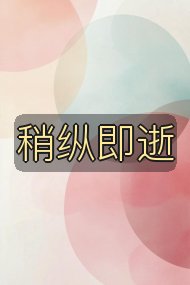 稍纵即逝封面