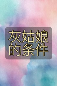灰姑娘的条件封面