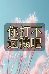 你打不过我吧封面