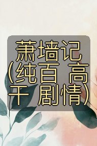 萧墙记（纯百 高干 剧情）封面