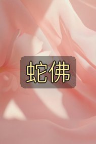 蛇佛封面