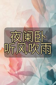 夜阑卧听风吹雨封面