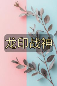 龙印战神封面