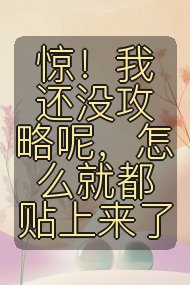 惊！我还没攻略呢，怎么就都贴上来了封面