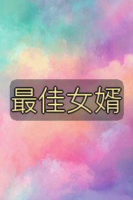 最佳女婿封面