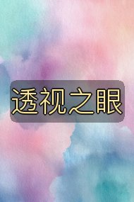 透视之眼封面