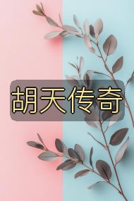 胡天传奇封面