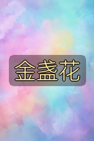 金盏花封面