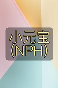 小元宝（NPH）封面