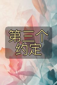 第三个约定封面